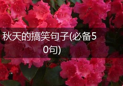 秋天的搞笑句子(必备50句)