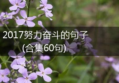 2017努力奋斗的句子(合集60句)