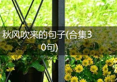 秋风吹来的句子(合集30句)