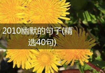2010幽默的句子(精选40句)