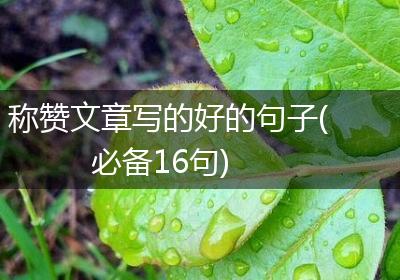 称赞文章写的好的句子(必备16句)