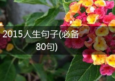 2015人生句子(必备80句)