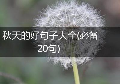 秋天的好句子大全(必备20句)