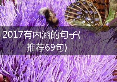 2017有内涵的句子(推荐69句)