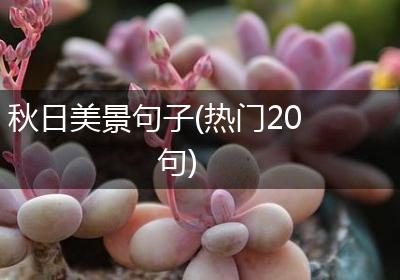 秋日美景句子(热门20句)