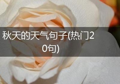 秋天的天气句子(热门20句)