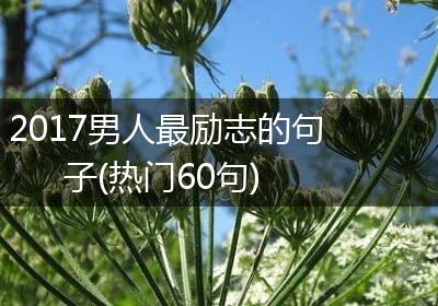 2017男人最励志的句子(热门60句)
