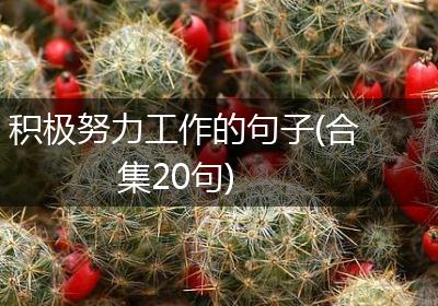 积极努力工作的句子(合集20句)