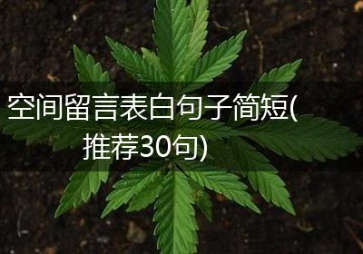 空间留言表白句子简短(推荐30句)