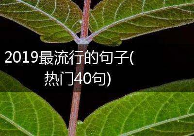 2019最流行的句子(热门40句)