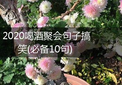 2020喝酒聚会句子搞笑(必备10句)
