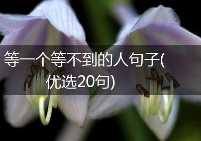 等一个等不到的人句子(优选20句)