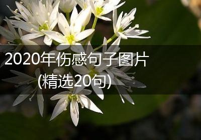 2020年伤感句子图片(精选20句)