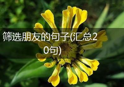 筛选朋友的句子(汇总20句)