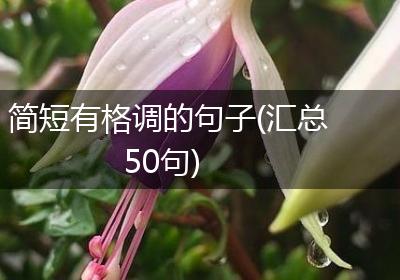 简短有格调的句子(汇总50句)