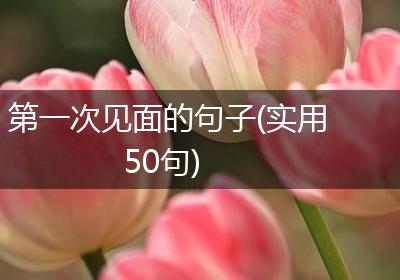 第一次见面的句子(实用50句)