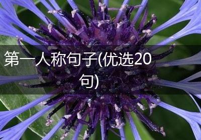 第一人称句子(优选20句)