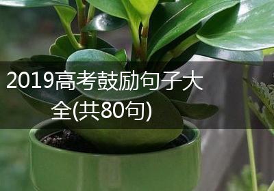 2019高考鼓励句子大全(共80句)
