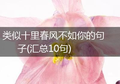 类似十里春风不如你的句子(汇总10句)