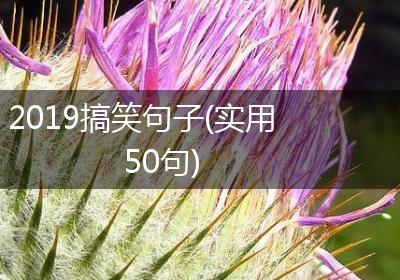 2019搞笑句子(实用50句)