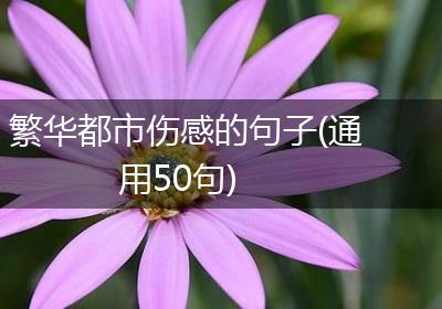 繁华都市伤感的句子(通用50句)
