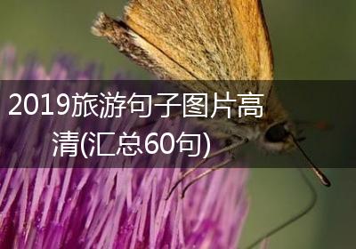 2019旅游句子图片高清(汇总60句)