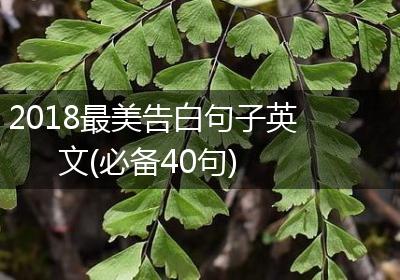 2018最美告白句子英文(必备40句)