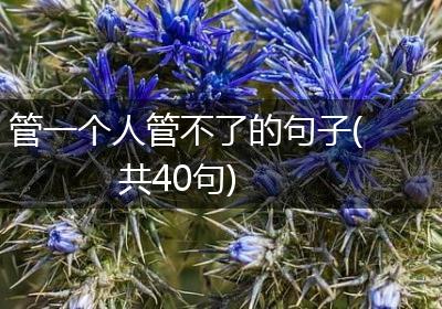 管一个人管不了的句子(共40句)