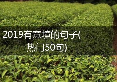 2019有意境的句子(热门50句)