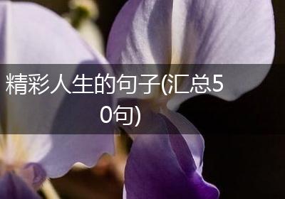 精彩人生的句子(汇总50句)