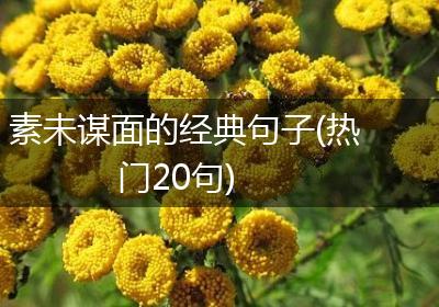素未谋面的经典句子(热门20句)