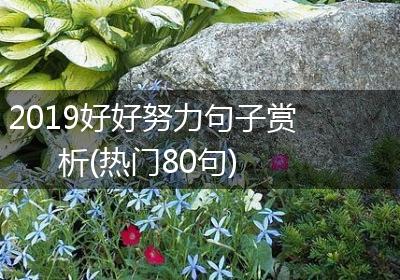 2019好好努力句子赏析(热门80句)