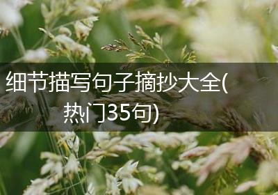 细节描写句子摘抄大全(热门35句)