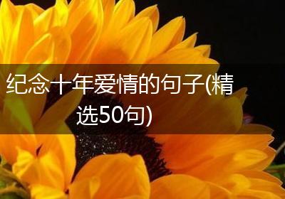 纪念十年爱情的句子(精选50句)