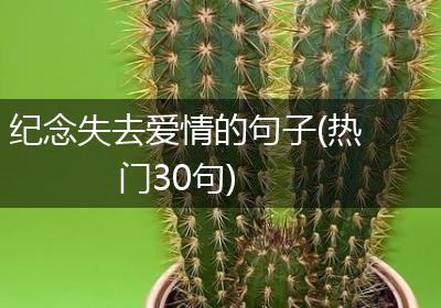 纪念失去爱情的句子(热门30句)