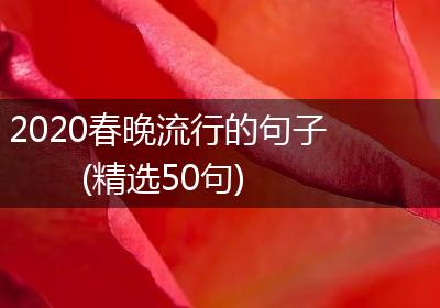 2020春晚流行的句子(精选50句)