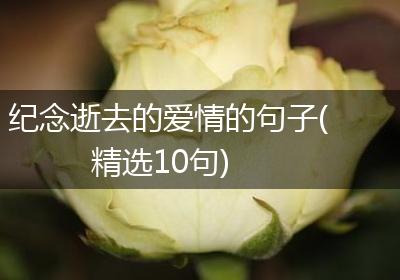 纪念逝去的爱情的句子(精选10句)