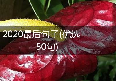 2020最后句子(优选50句)