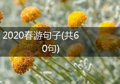 2020春游句子(共60句)