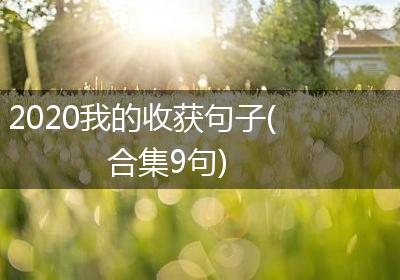 2020我的收获句子(合集9句)
