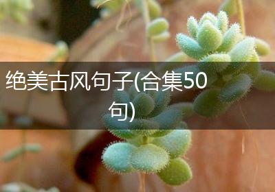 绝美古风句子(合集50句)