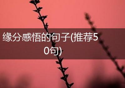 缘分感悟的句子(推荐50句)