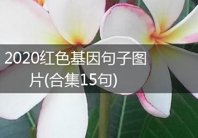 2020红色基因句子图片(合集15句)