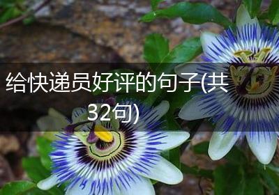 给快递员好评的句子(共32句)