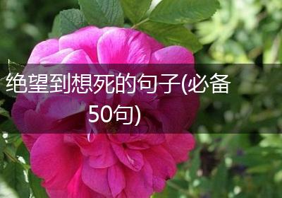 绝望到想死的句子(必备50句)