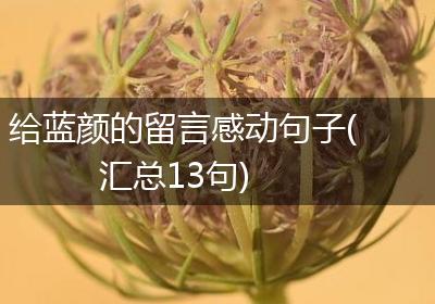 给蓝颜的留言感动句子(汇总13句)
