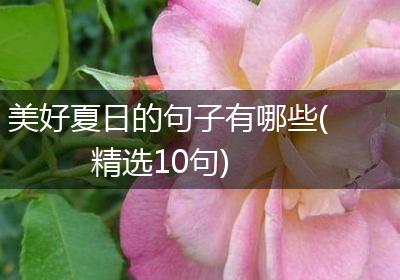 美好夏日的句子有哪些(精选10句)