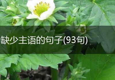 缺少主语的句子(93句)