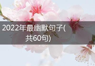 2022年最幽默句子(共60句)