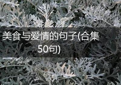 美食与爱情的句子(合集50句)